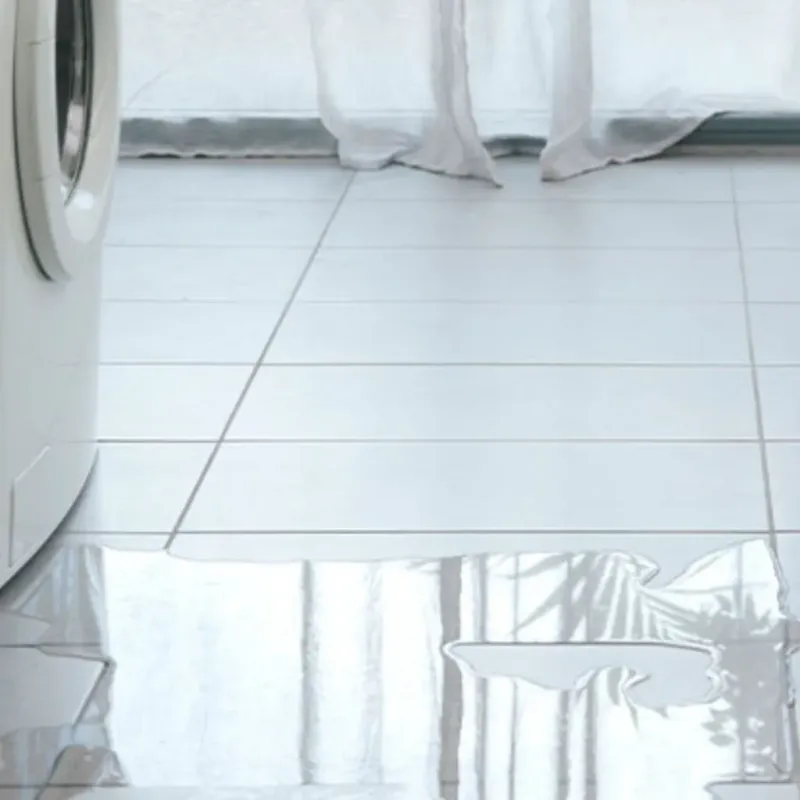 Appliance Leak Cleanup in Jackson County, IA