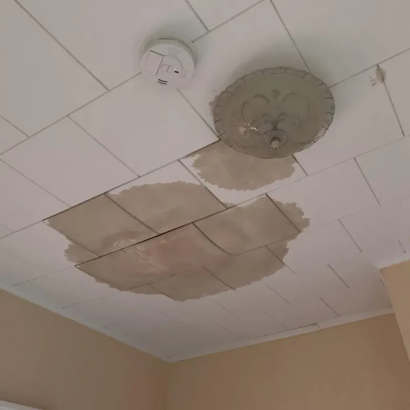 Ceiling Water Damage Repair in Jackson County, IA