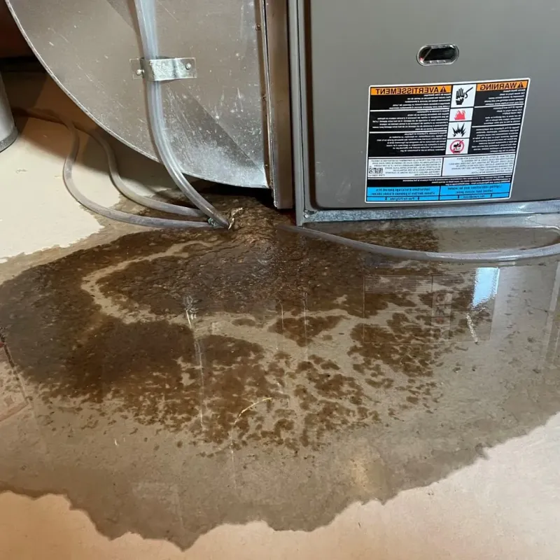 Pipe Burst and Leak Restoration in Jackson County, IA