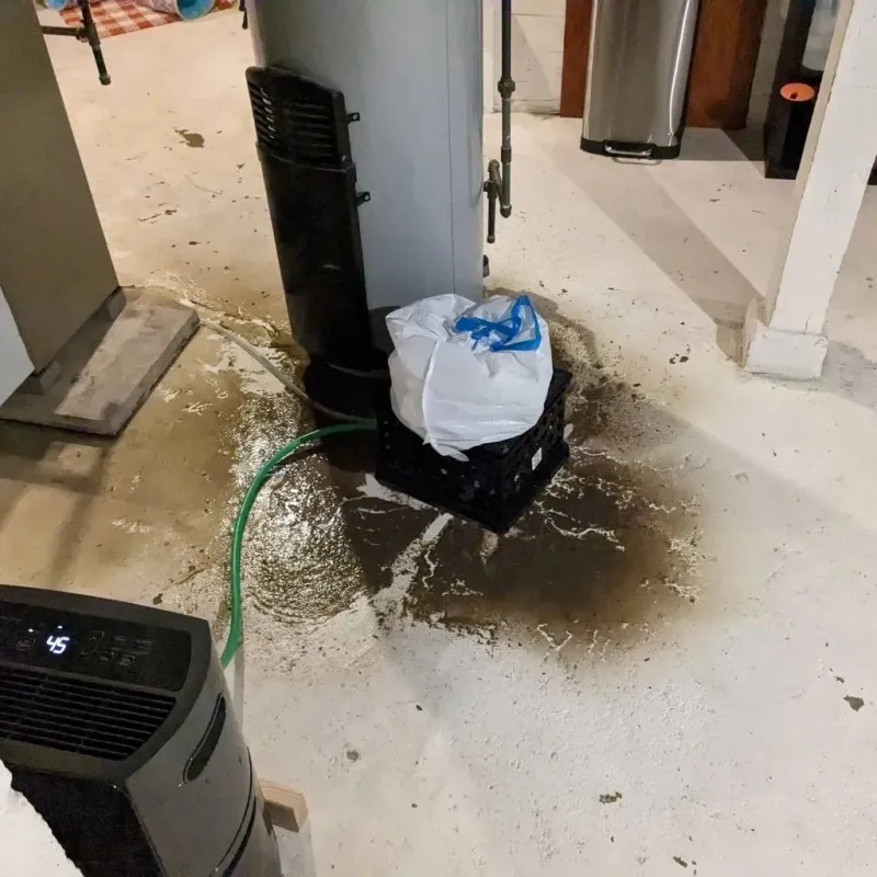 Sewage Backup Cleanup Service in Jackson County, IA
